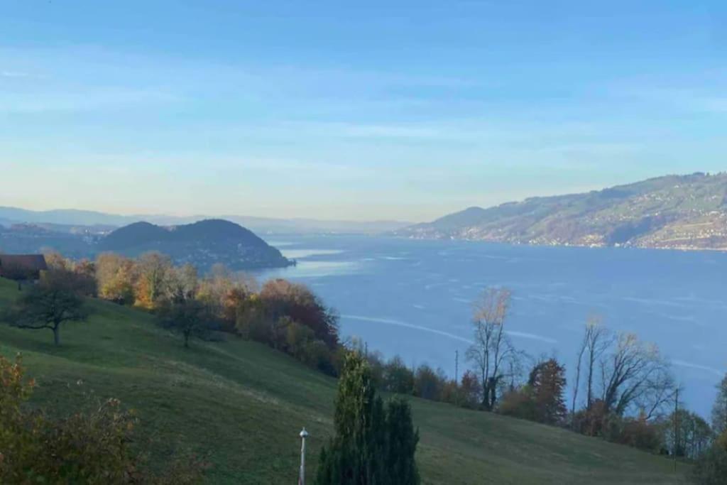 Lakeview Studio Krattigen Εξωτερικό φωτογραφία